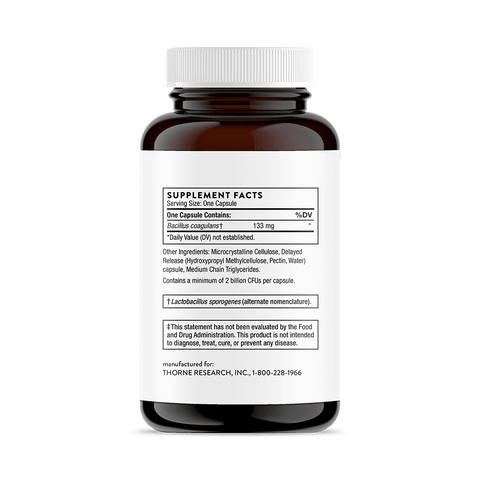 Bacillus Coagulans 60 caps