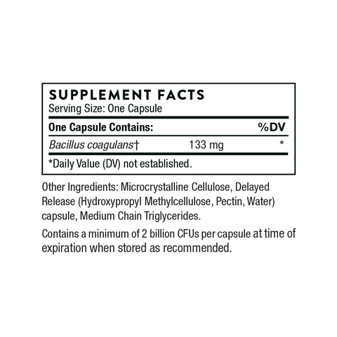 Bacillus Coagulans 60 caps