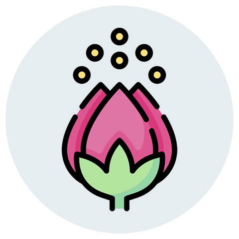 Dr. Jill's Allergies Support