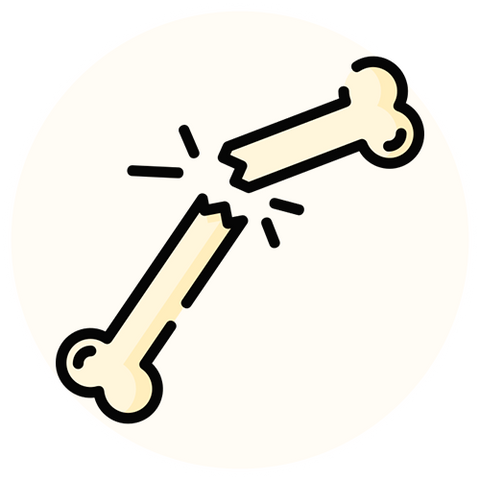 Dr. Jill's Bone Support