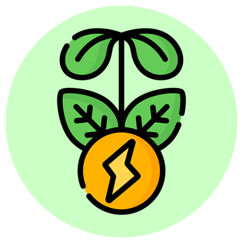 Dr. Jill's Energy Support