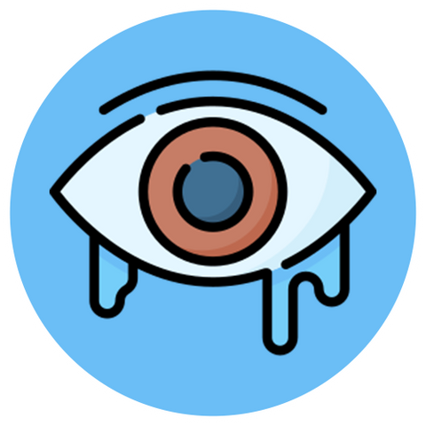 Dr. Jill Beauty - Eyes
