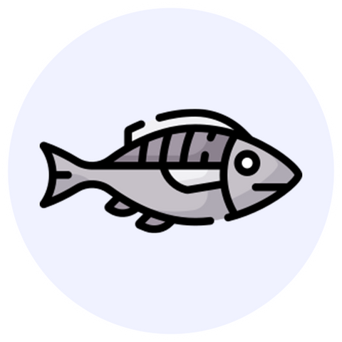 Fish Oil/Omega-3