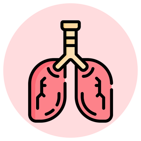 Lung Support