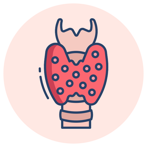 Dr. Jill's Thyroid Support