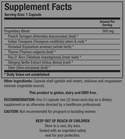 Dr. Jill Health® - SIBO / SIFO Trio Bundle (Small Intestinal Bacterial Overgrowth / Small Intestinal Fungal Overgrowth)
