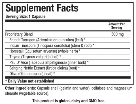 Dr. Jill Health® - SB Fungo 120 caps