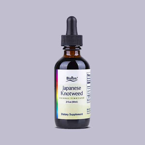 Japanese Knotweed 2 fl oz.