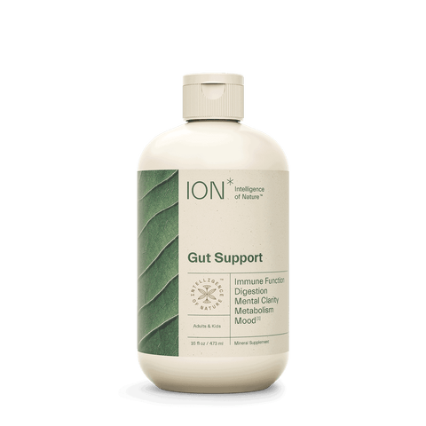 ION* Gut Support 16 fl oz